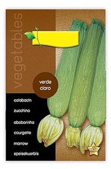 Semillas Calabacín Genovés o Italiano Verdura Muy Saludable y Fácil de Cultivar