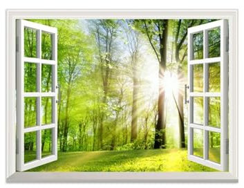 LXURY Fensterblick Leinwand Bilder-Offenem Fenster Landschaft Bild Druck auf Leinwand-Wandbilder Wandkunst für Wohnzimmer-Forest Tree Meadow Sunshine 80x105cm31x41inch Ungerahmt