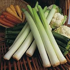 Leek King Richard 500 Seeds