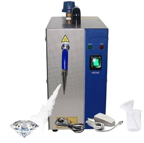 forplubossmmp Máquina Limpiadora A Vapor para Joyas De 2 L/4 L con Interruptor De Pie, Limpiador A Vapor para Joyas De Oro Y Plata De 135 °C, Máquina Limpiadora A Vapor Profesional para Gemas,2L