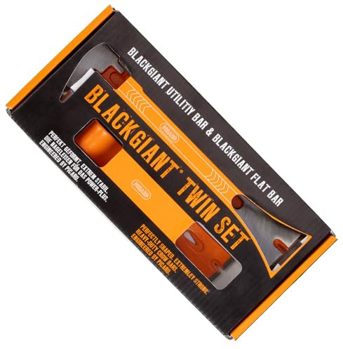 PICARD BlackGiant Nageleisen Twin Set Nr. 46X/46Y | Präzisionsarbeit für Handwerker | Profi Qualität für Bau Renovierung Reparatur | Länge 175mm & 250mm | Made in Germany seit 1857