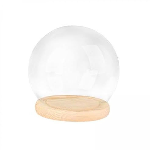 FytStycale 2x Dôme de Présentation avec Base, Vitrine Transparente, Ornement, Verre de Présentation, Dôme En Verre Cloche, Dôme En Verre pour La Saint-Valentin,