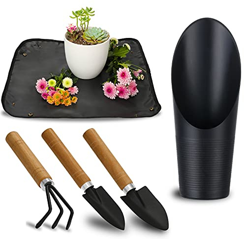 5 x Sukkulenten-Werkzeuge, Mini-Gartenwerkzeuge, Pflanzmatte als Pflanzenzubehör, Sukkulenten, Gartenarbeit, Handwerkzeug-Set für Sämling-Erde, Pflege von Sukkulenten, Bonsi, etc.