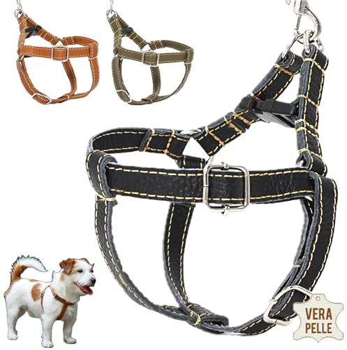 DOGISSIMI Hundegeschirr für kleine und mittlere Hunde, Verstellbares und ergonomisches Hundegeschirr aus echtem Leder, handgefertigt in Italien, Leder-Hundegeschirr (M, Schwarz)