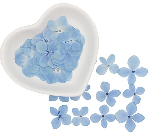 Lot de 60 fleurs séchées d'hortensia véritables fleurs naturelles pressées en résine pour loisirs créatifs, étuis de téléphone, peintures fines, bougies parfumées, savon fait à la main, photographie