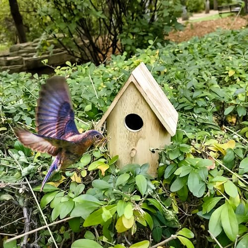 YCHTEWY-DIY Holz-Vogelhaus, Wildvogel-Futterhaus, Vogelhäuschen zum Aufhängen, Locken Sie Vögel an & Verschönern Sie Ihren Garten! (Creme, C)