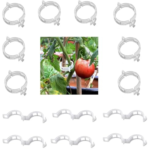 Clips jardín Tomate Soportes,200 piezasJardín Plant Clips Tutor Plantas Tutores para Tomates,Tutores para Plantas,Soporte Plantas,para Tomates Pimientas Plantas Trepadoras,Plantas de Vid