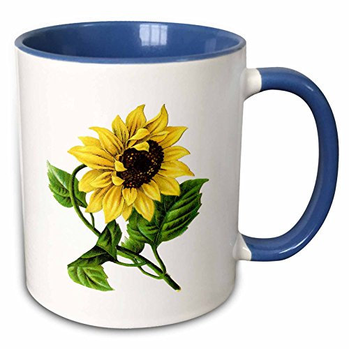 Tazas De Té Personalizada Tazas De Desayuno 330Ml, Girasol Gigante Vintage Tazas Maravillosa Para Cocina Abuela Día De La Madre