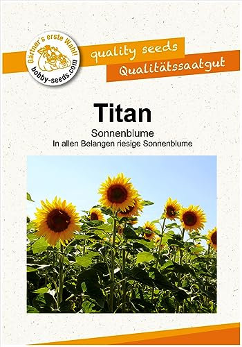 Titan Riesensonnenblumensamen von Bobby-Seeds, Portion Gelb