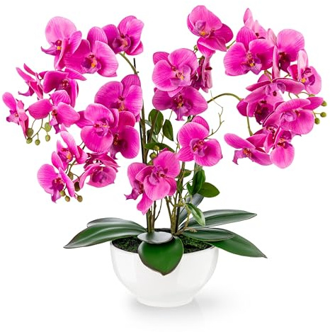 PASCH® Orchidée Artificielle XXL Grande (56 cm) Dans Un Pot En Céramique Brillante | Comme De Vraies Orchidées | Fleurs Artificielles