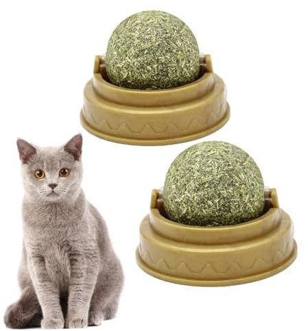 BESPORTBLE 2stücke Catnip Licking Ball Mit Minzgeschmack Fester Katzensnack Zur Zahnpflege Und Verdauungsförderung Sicher Für Katzenzähne Fördert Spielerisch Gesunde Mundhygiene Und Beschäfti
