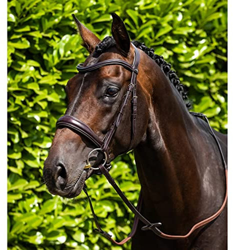 Premier Equine Stirnband für Pferd Glattleder Liscio