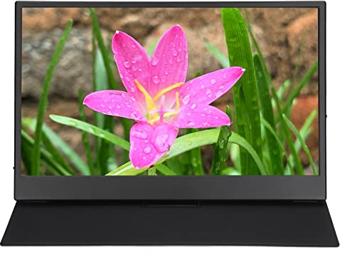 Monitor de 13,3 Pulgadas, Resolución de 2560 X 1440, Pequeño Monitor HD IPS Portátil de 1440P con Altavoces Duales, Puerto HDMI/Tipo C/Auriculares para PS4, para Xbox, Juegos, etc. (Enchufe de la UE)