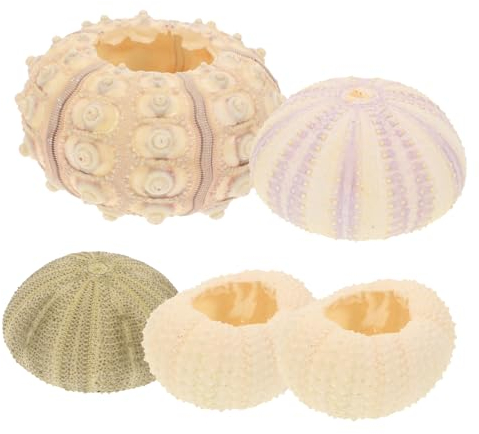 FUNOMOCYA 5 Stücke Shell Pflanzer Air Pflanzen Aquarium Decor Meer Shell Ornament Für Wohnzimmer
