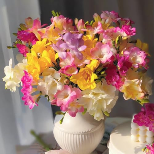 bulbos de fresia resistentes - Plantas resistentes en macetas, flores para balcones. bulbos de flor de fresia, flores frescas, adornos de jardín para exterior Bulbos de flores, flores 8pcs