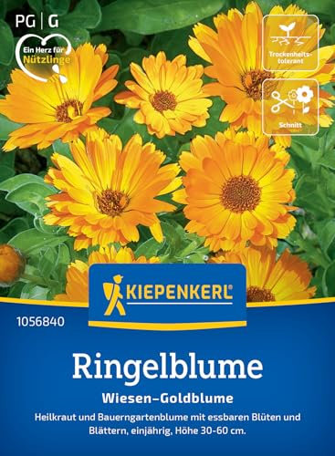 Kiepenkerl Ringelblumensamen Wiesen-Goldblume 1056840 – Essbare Ringelblumen-Samen für Garten & Küche - für Beete & Schnittblumen - Saatgut, Blumenwiese
