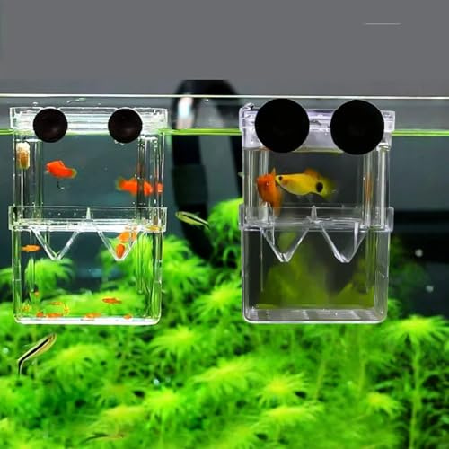 2 Pack Aquarium Fish Breeding Box, Transparent Plastic Breeder Box | Fish Breeding Box & Breeder Box, For Fry, Baby Fish, Shrimp, Guppy, Aggressive Fish, Fish Tank Hatching Isolation Application