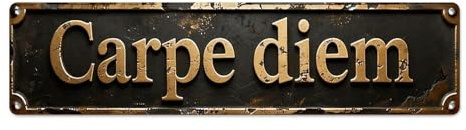 Cartel de metal vintage de Carpe Diem de estilo francés, para decoración de pared, para el hogar, bar, decoración de pared, póster de metal de 10 x 40 cm