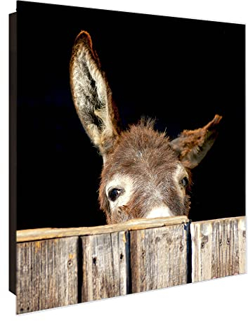 banjado Großer Schlüsselkasten Glas - Schlüsselbox 30x30cm mit 50 Haken - Schlüsselkasten modern für Schlüsselaufbewahrung mit beschreibbarer, magnetischer Glastür - Motiv Esel