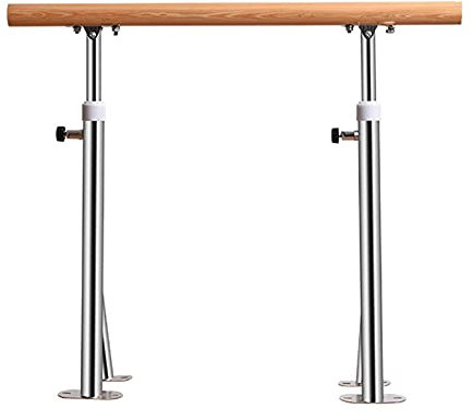 SnamicE Ballettstange für Zuhause, freistehende Ballettstange für Erwachsene, für den Innenbereich, für Tanzräume in Schulen, höhenverstellbare Tanzstange (Silber, 100 cm)