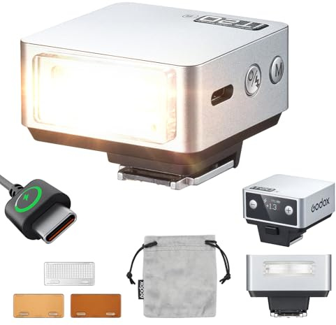 Godox iT20-S iT20 S Flash de l'appareil Photo Speedlite 6 Niveaux de Puissance 700 Flashs à Pleine Puissance TTL Camera Flash avec Puce de Couleur Magnétique Hot Shoe pour Sony Camera DSLR(Argent)