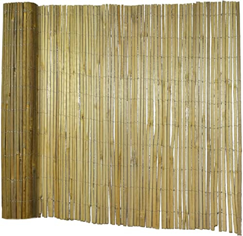 Floordirekt Sichtschutz Zaun aus Bambus Gartensichtschutz & Windschutz für Terrasse, Garten & Balkon (150 x 300 cm) Brasil