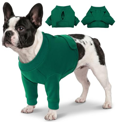 CITÉTOILE hundbody efter oper, sårskyddsdräkter för hundar med ben, främre benskydd för skada hund, anti-sårläckage Op Body hundar, E-krage alternativ, grön, M
