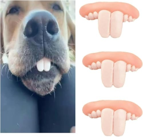 Rzcin 3Pcs White Fake Teeth Fake Teeth for Dogs,Dog Toys,Funny Dog Braces, Christmas Costume Suitable Chew Toys Pet Supplies,Pet Costume Accessories for Halloween and Fun Photoshoots