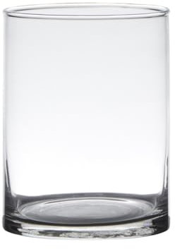 Glasvase Zylinder H: 15cm D: 12cm Dekoglas Hakbijl