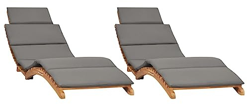 vidaXL Lot de 2 Chaises Longues avec Coussins, Bain de Soleil, Transat de Terrasse, Siège de Jardin Patio Extérieur, Bois Massif de Teck