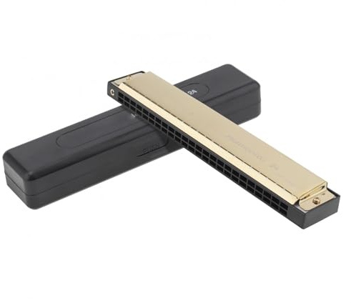 Erwachsene Mundharmonika 24 Löcher KeyC Gold Tremolo Mundharmonika 8K Titan Harfe Mundharmonika Musikinstrument