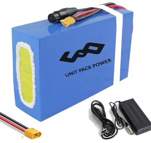36V Akku Für E-Bike-E-Scooter-Lithium-Akku 500W 250W für E-Bike-Umrüstsatz und elektrisches Dreirad Elektrorollstuhl -Lithium Batterien 60Volt 40Ah 2400Wh (36V 20Ah Up to 500W)