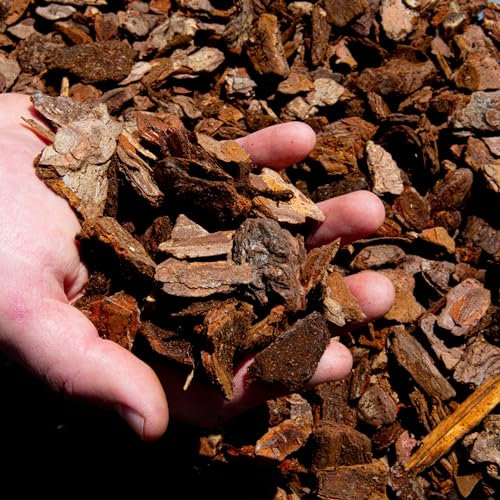 Premium Orchid Care Repotting Bark Soil Compost Mix (3L)