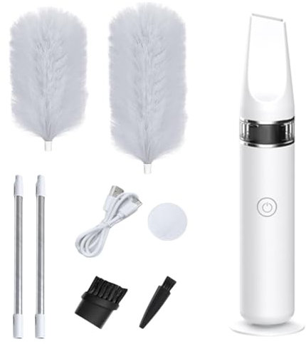 Brosse à Plumes électrique, Brosse à poussière motorisée