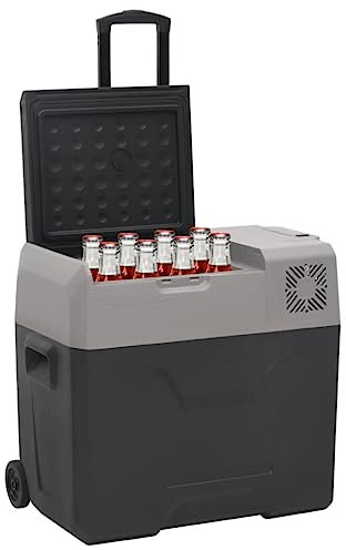 Kangmusi Kühlbox mit Rollen und Adapter Schwarz & Grau 50 L Polypropylen,3154637