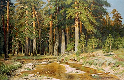 Feeling at home LEINWANDDRUCK im SCHATTENFUGENRAHMEN Der Mast-Baumhain, Studie Shishkin Ivan Ivanovich - Landschaft horizontal Kunstbilder im Holzrahmen cm_40_X_61