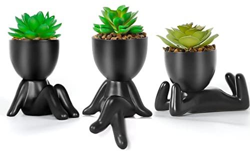Dremisland 3PCS Künstliche Sukkulenten Mit Kreativen Schwarzen Villain Art-geformte Töpfe Frühling Mini Pflanzen Gefälschte Sukkulenten Dekor Für Indoor Büro Wohnzimmer Tisch Schreibtisch (3 STÜCK)