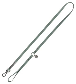 Trixie Hundeleine CityStyle L-XL, 1,00 m/20 mm Salbei – Hochwertige PVC-Leine für Hunde – rutschfest, wasserabweisend & abwaschbar für kleine, mittelgroße & große Hunde, 1971119