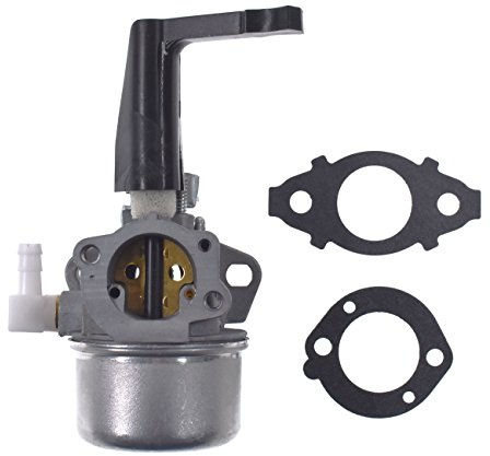 JRL 696065 Carburateur de remplacement avec kit de joint pour Briggs & Stratton