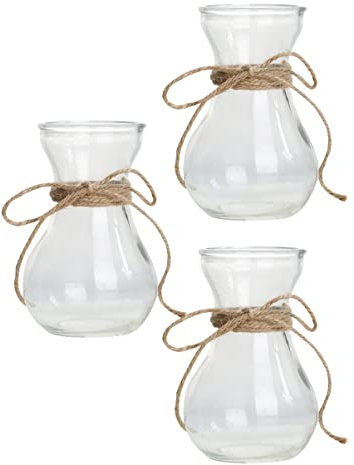 YARNOW 3pièces Vase Verre Transparent Lot Conteneur De Plantes Hydroponique pour Bureau Et Intérieur Support pour Fleurs Et Boutures Décoration Élégante De Table