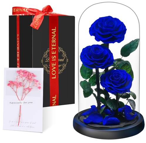 Rosa Eterna en Cúpula de Cristal, Rosa Bella y Bestia, Flores Naturale Preservada, Ideas Rosas Regalos para Día de la Madre, Día de San Valentín, Aniversario,Navidad, Mujer, Mamá, Novia, Abuela