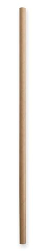 FRANZ MENSCH 3000 Stück NATUREStar Papiertrinkhalme Classic, einfarbig | FSC®-Mix, L: 19,7cm, grün, Ø: 0,6cm, Karton, Strohhalme Papier, Trinkhalme, Papierstrohhalme