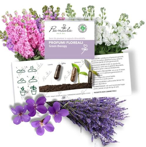 KIT SEMI PIANTABILI in BLISTER da 3 capsule (PROFUMI FLOREALI: lavanda violetta, violaciocca)