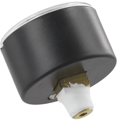 UTTASU Remplacez le manomètre pour les pompes à filtre à sable Intex 11224 35,6 et 40,6 cm