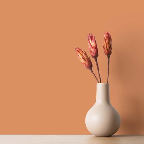 K&L Wall Art Seidenmatt Wandfarbe Orange Innenwandfarbe modern Wandschutz Anstrich 2,5Liter Farbe Herbst Deko
