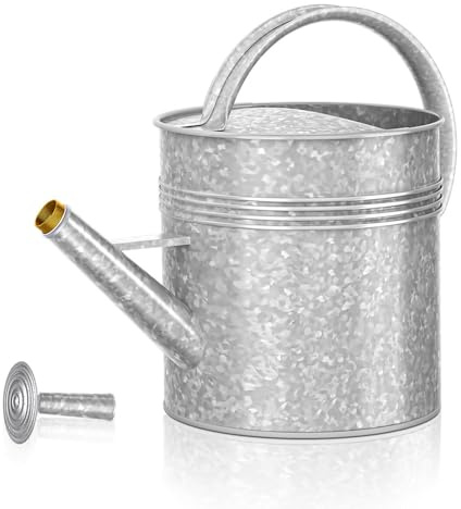 LONGRUN Arrosoir galvanisé de 10 l avec douchette amovible | En fer galvanisé, argenté, 2 fonctions d'eau, long bec verseur pour jardin et balcon