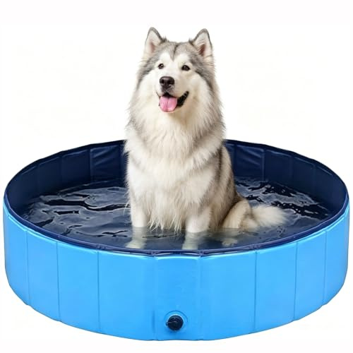 Hundepool Große Hunde PVC,Faltbarer Hundepool 120x30, Hunde Pool