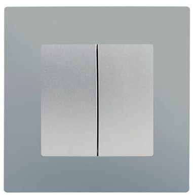 SIEMENS - Double Va Et Vient Silver Delta Viva - Plaque Silver