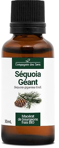 Séquoia Géant BIO - 30mL - (Sequoia Giganteum) – Macérat concentré de bourgeons frais