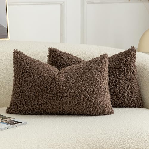 Joyouth 2er Set Curly Teddy Wolle Faux Pelz werfen Kissenbezug Abdeckungen Fuzzy Akzent weiche Sherpa Kissenbezüge Schaffel Fleece Dekorative Kissen Fall für Sofa Couch Wohnzimmer 30x50 cm Schokolade